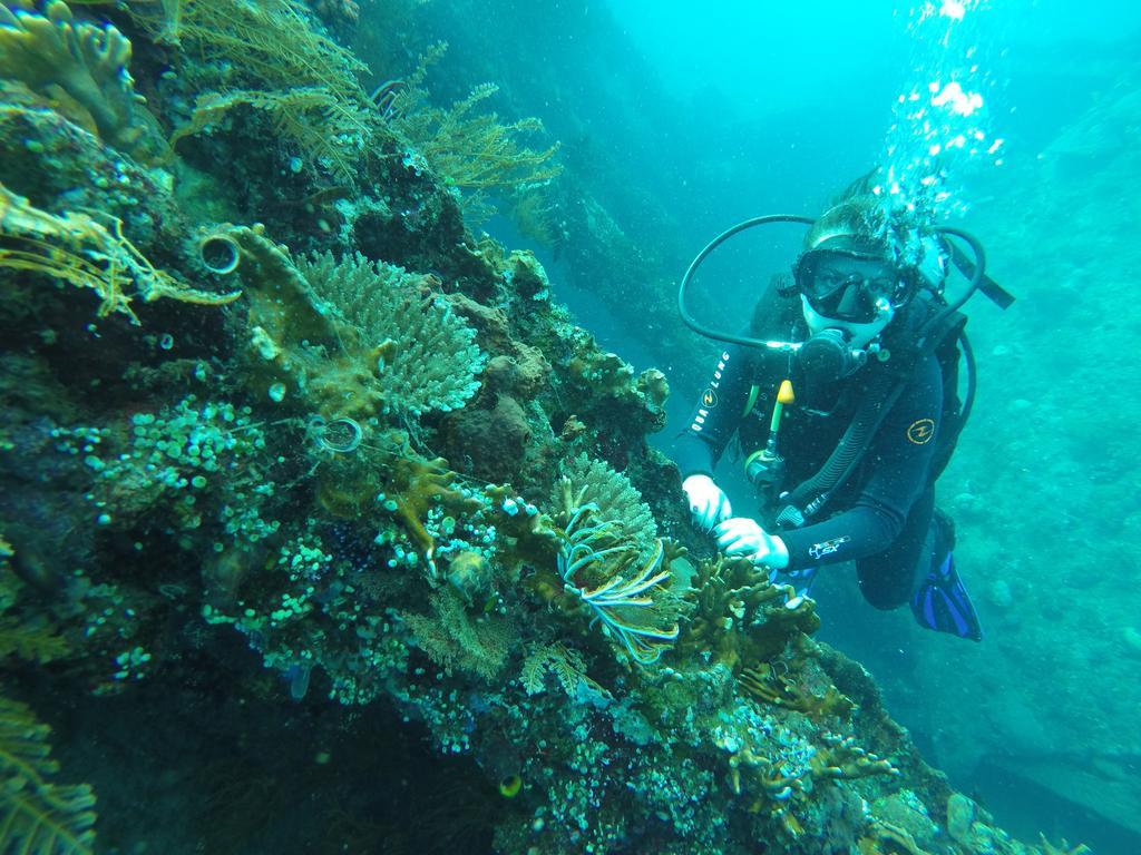 Ocean View Tulamben Dive & Resort Exteriér fotografie